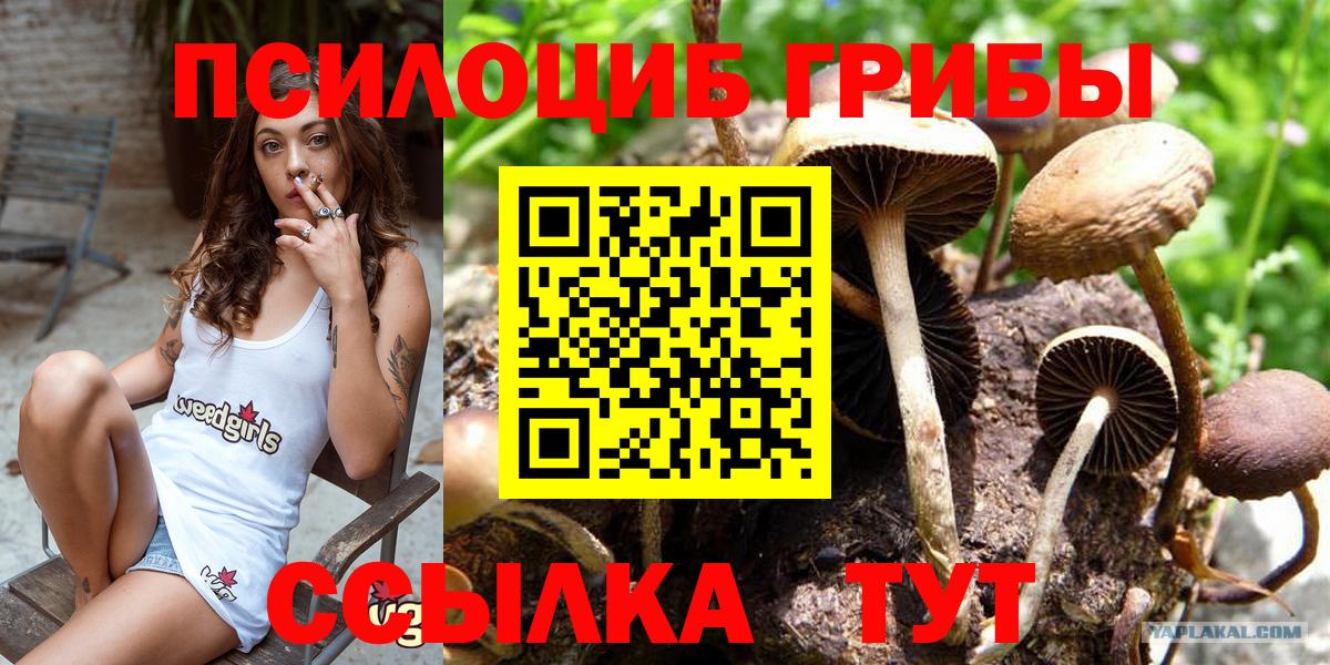 Ликино-Дулёво  Псилоцибиновые грибы ЛСД  где купить   Галлюциногенные грибы Magic Shrooms  Вход с VPN 