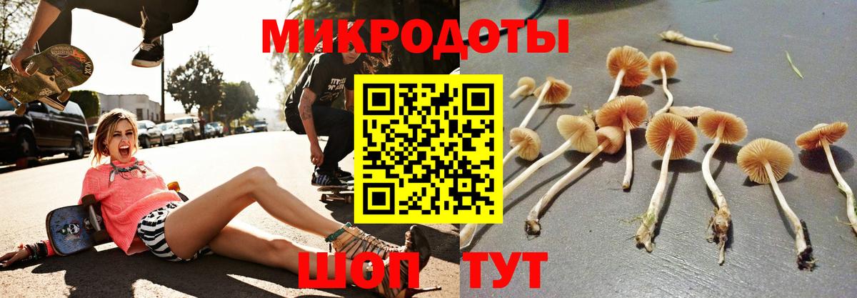 Псилоцибиновые грибы Magic Shrooms Ликино-Дулёво